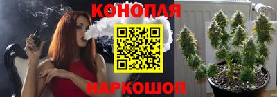 a pvp Бийск